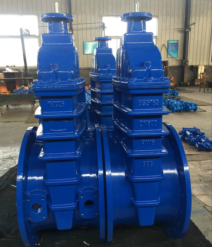 resilient seated gate valve with top flanged