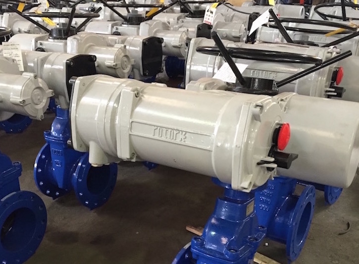 Resilient wedge gate valve with ROTORK actuator