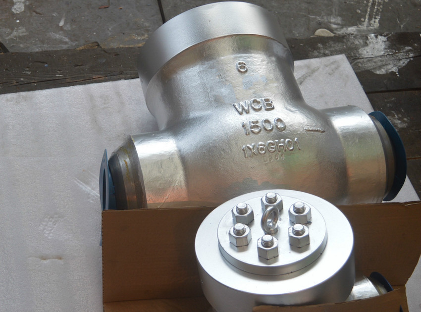 1500 lb globe valve